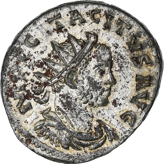 Tacyt, 
  
  Antoninian, 
  
  275