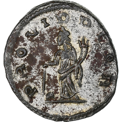 Tacyt, 
  
  Antoninian, 
  
  275