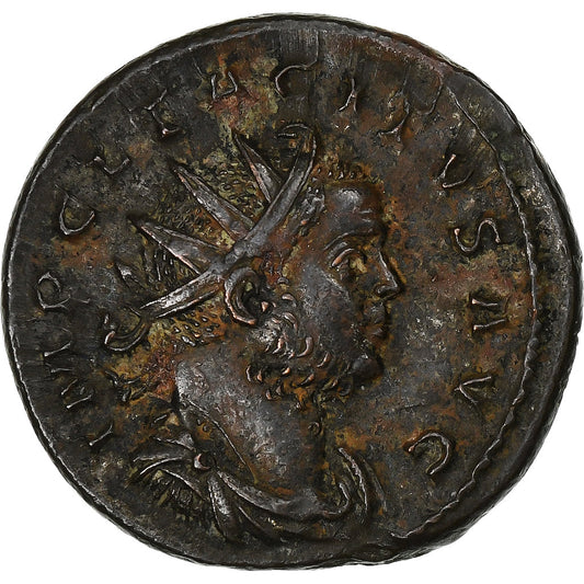 Tacyt, 
  
  Antoninian, 
  
  275-276