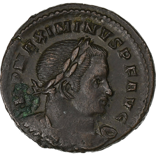 Maksymin II, 
  
  Follis, 
  
  310-313
