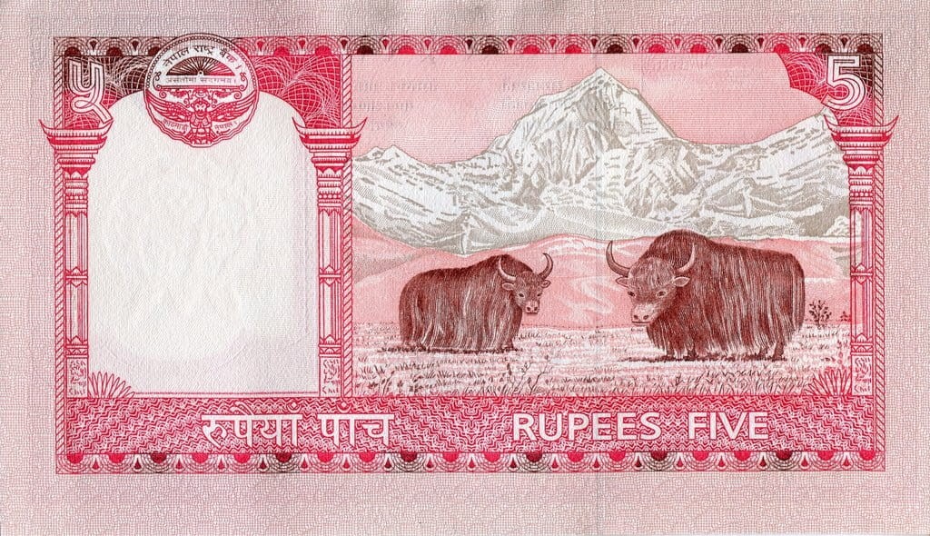 Nepal 5 rupii Woły 2010 P-60b