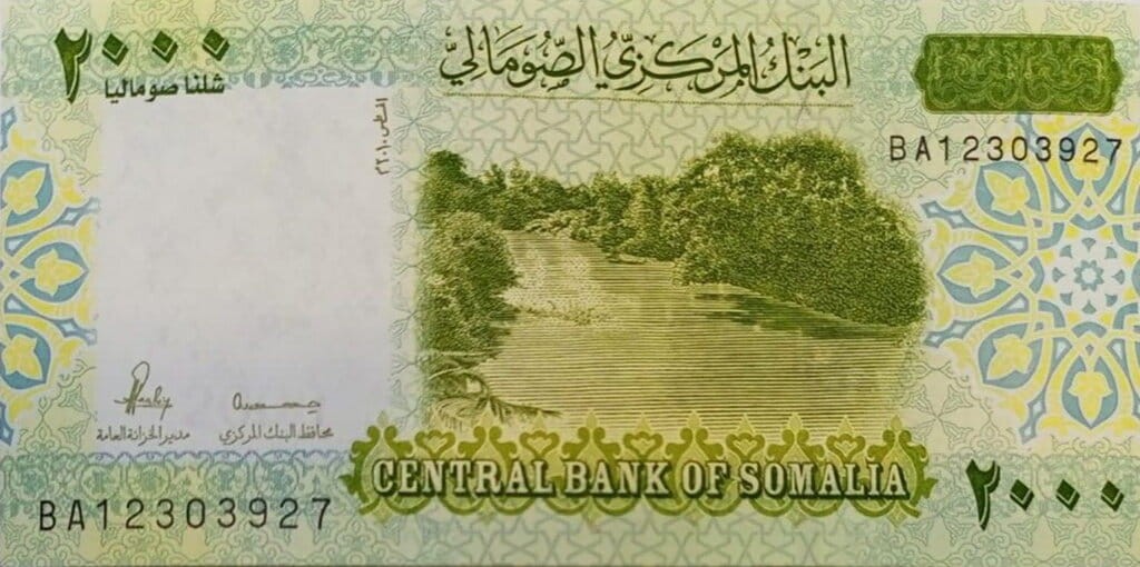 Somalia 2000 schilling Rzeka 2010 P-39